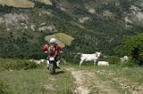 Enduro Appennino Tosco Emiliano Giugno 2009 - 35